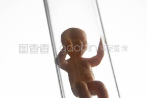 http://zhuhai.nbgk120.com/post/209.html|珠海捐卵费用