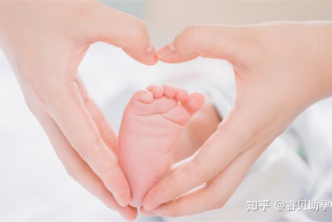 夏天珠海捐卵宝宝发烧 莫要急