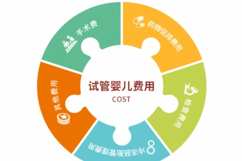 珠海捐卵宝宝肚痛，父母该怎么办？